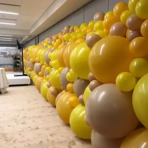 birthday balloon wall