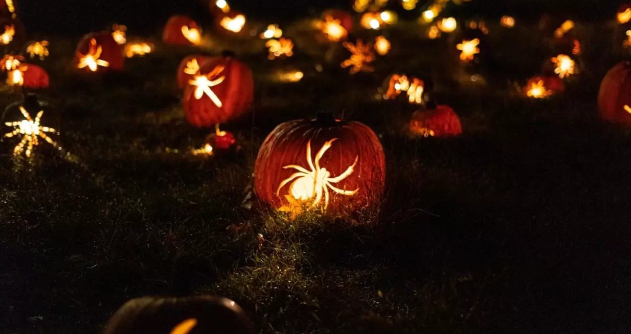 How To Plan A Memorable Halloween Party